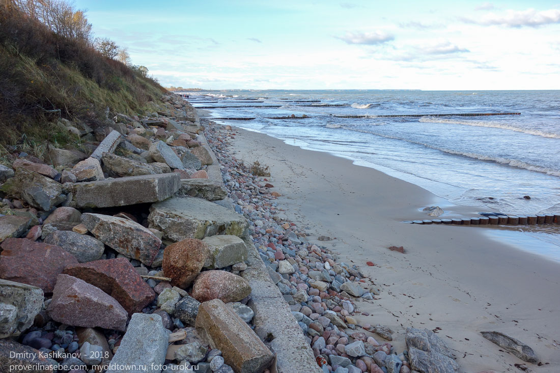 Зеленоградский пляж. Берег Балтийского моря