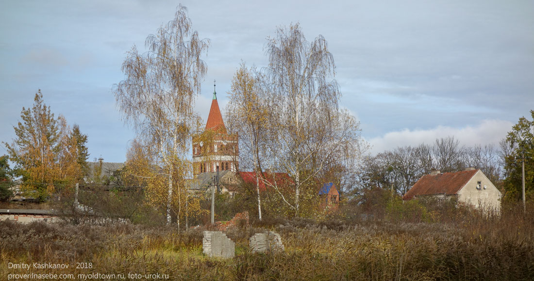 Правдинск. Церковь Святого Георгия. Вид сквозь желтые осенние березы