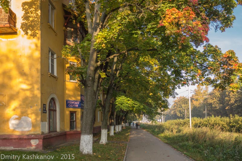 Осень в городе. Желтые дома и листья. Фото проспекта Молодежного