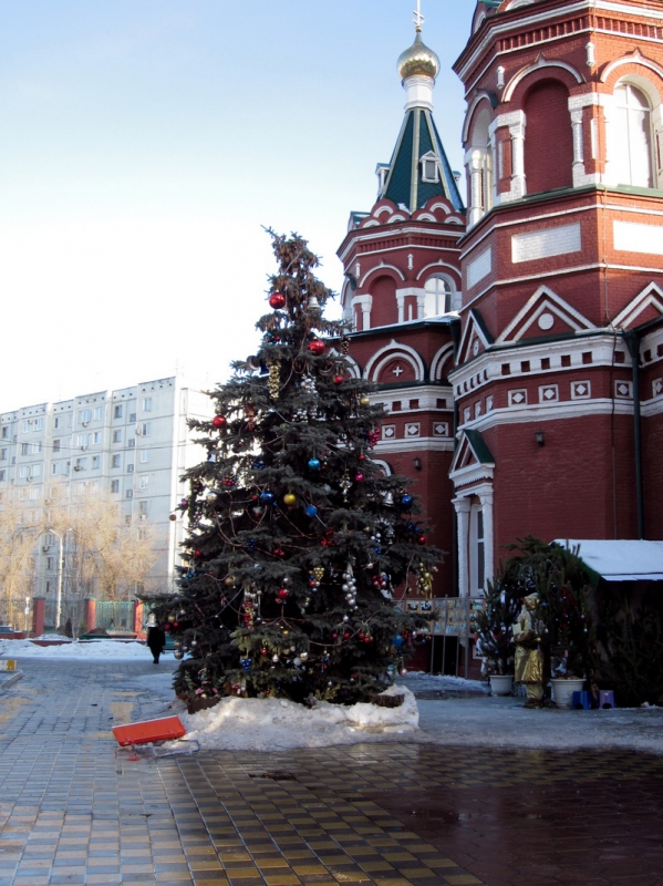 Настоящая елка перед входом в Казанский собор (растет на этом месте)