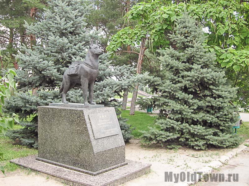 Памятник собакам - истребителям танков в Волгограде. Фото