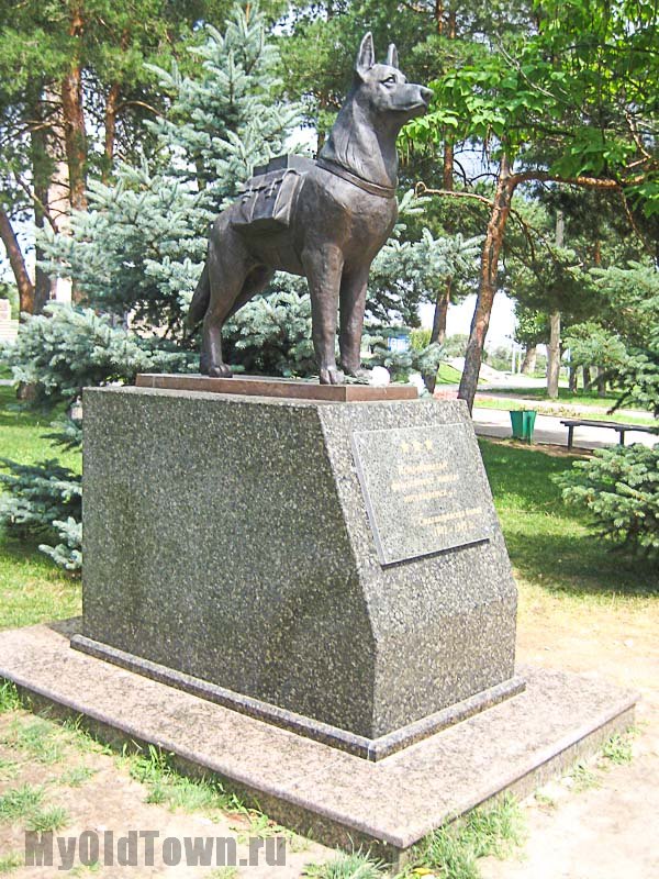 Памятник собакам - истребителям танков в Волгограде. Фото