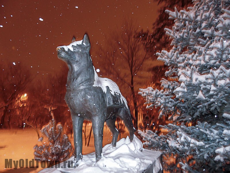 Памятник собакам. Зимнее вечернее фото