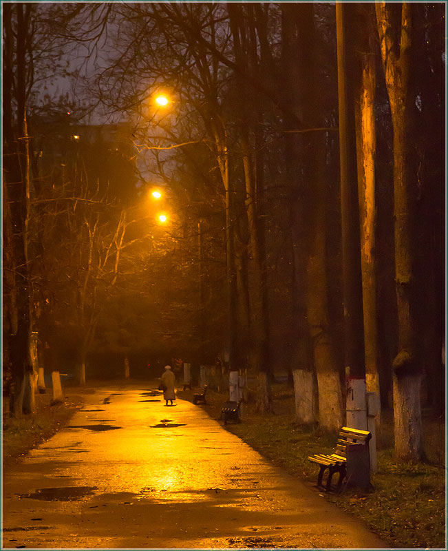 Мокрая аллея. Вечернее фото Автозаводского парка. Нижний Новгород